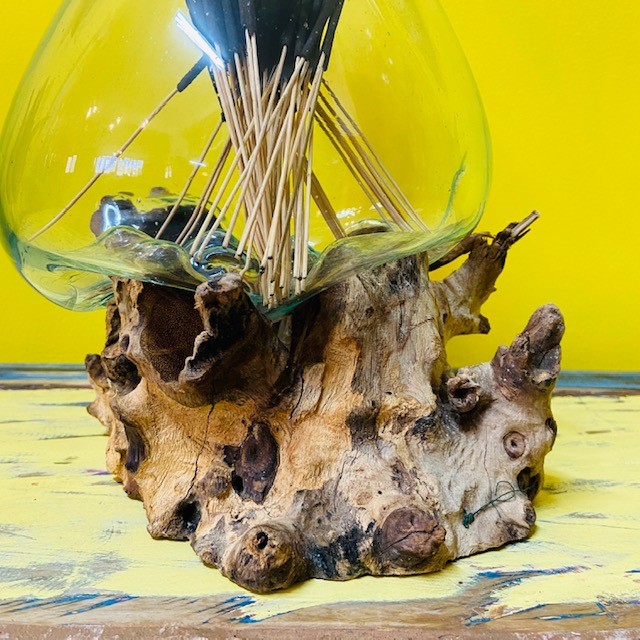 Vaso vetro fuso su radice ampolla base legno stile kitsch rustico acquario  porta piante fiori - EtnicBay